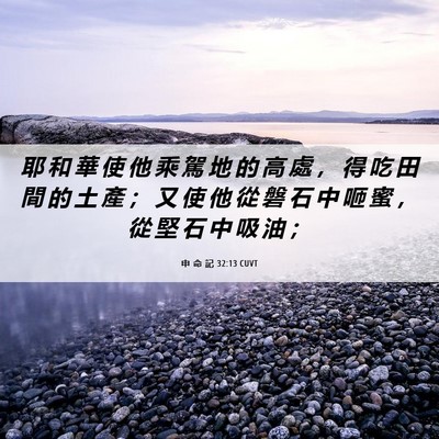 Picture 06 - 申 命 記 32:13 CUVT - 耶 和 華 使 他 乘 駕 地 的 高 處 ， - Bible Verse Picture