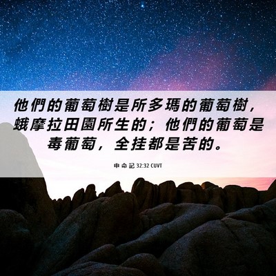 Picture 06 - 申 命 記 32:32 CUVT - 他 們 的 葡 萄 樹 是 所 多 瑪 的 葡 - Bible Verse Picture
