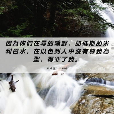 Picture 06 - 申 命 記 32:51 CUVT - 因 為 你 們 在 尋 的 曠 野 ， 加 低 - Bible Verse Picture