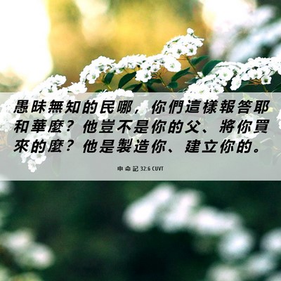 Picture 06 - 申 命 記 32:6 CUVT - 愚 昧 無 知 的 民 哪 ， 你 們 這 樣 - Bible Verse Picture