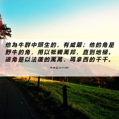 Picture 06 - 申 命 記 33:17 CUVT - 他 為 牛 群 中 頭 生 的 ， 有 威 嚴 - Bible Verse Picture