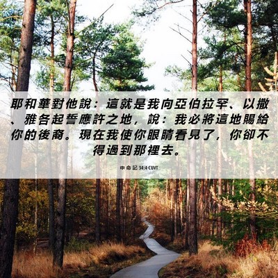 Picture 06 - 申 命 記 34:4 CUVT - 耶 和 華 對 他 說 ： 這 就 是 我 向 - Bible Verse Picture
