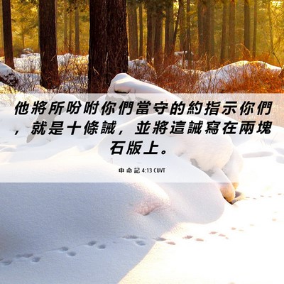 Picture 06 - 申 命 記 4:13 CUVT - 他 將 所 吩 咐 你 們 當 守 的 約 指 - Bible Verse Picture