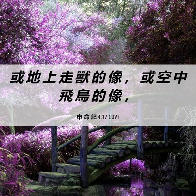 Picture 06 - 申 命 記 4:17 CUVT - 或 地 上 走 獸 的 像 ， 或 空 中 飛 - Bible Verse Picture