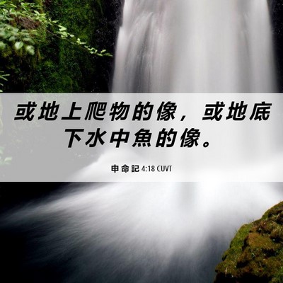 Picture 06 - 申 命 記 4:18 CUVT - 或 地 上 爬 物 的 像 ， 或 地 底 下 - Bible Verse Picture