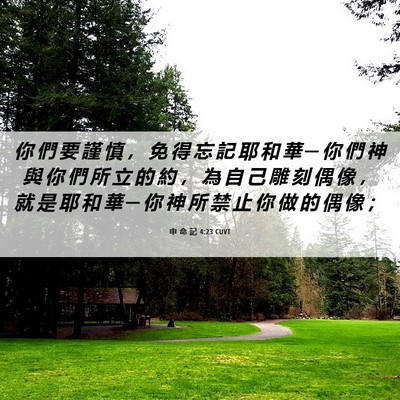 Picture 06 - 申 命 記 4:23 CUVT - 你 們 要 謹 慎 ， 免 得 忘 記 耶 和 - Bible Verse Picture
