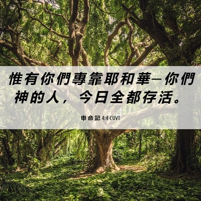 Picture 06 - 申 命 記 4:4 CUVT - 惟 有 你 們 專 靠 耶 和 華 ─ 你 們 - Bible Verse Picture