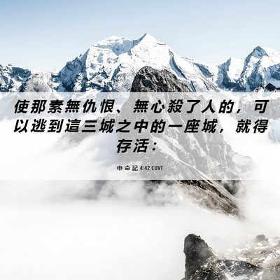 Picture 06 - 申 命 記 4:42 CUVT - 使 那 素 無 仇 恨 、 無 心 殺 了 人 - Bible Verse Picture