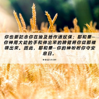 Picture 06 - 申 命 記 5:15 CUVT - 你 也 要 記 念 你 在 埃 及 地 作 過 - Bible Verse Picture