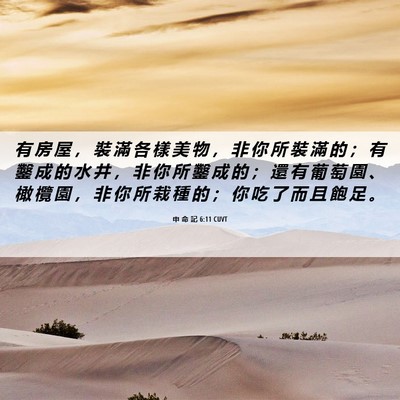 Picture 06 - 申 命 記 6:11 CUVT - 有 房 屋 ， 裝 滿 各 樣 美 物 ， 非 - Bible Verse Picture
