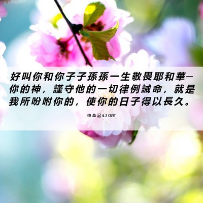 Picture 06 - 申 命 記 6:2 CUVT - 好 叫 你 和 你 子 子 孫 孫 一 生 敬 - Bible Verse Picture