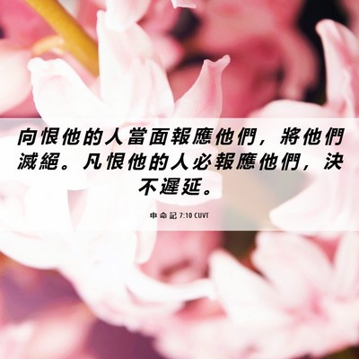 Picture 06 - 申 命 記 7:10 CUVT - 向 恨 他 的 人 當 面 報 應 他 們 ， - Bible Verse Picture