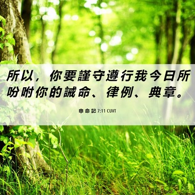 Picture 06 - 申 命 記 7:11 CUVT - 所 以 ， 你 要 謹 守 遵 行 我 今 日 - Bible Verse Picture