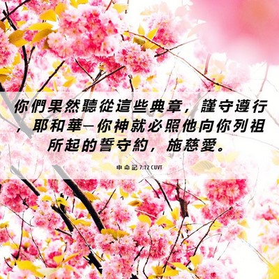 Picture 06 - 申 命 記 7:12 CUVT - 你 們 果 然 聽 從 這 些 典 章 ， 謹 - Bible Verse Picture