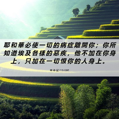 Picture 06 - 申 命 記 7:15 CUVT - 耶 和 華 必 使 一 切 的 病 症 離 開 - Bible Verse Picture
