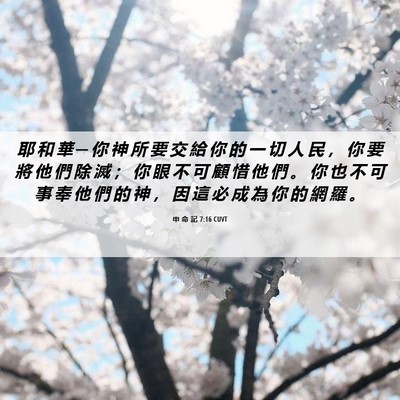 Picture 06 - 申 命 記 7:16 CUVT - 耶 和 華 ─ 你 神 所 要 交 給 你 的 - Bible Verse Picture