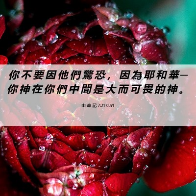 Picture 06 - 申 命 記 7:21 CUVT - 你 不 要 因 他 們 驚 恐 ， 因 為 耶 - Bible Verse Picture