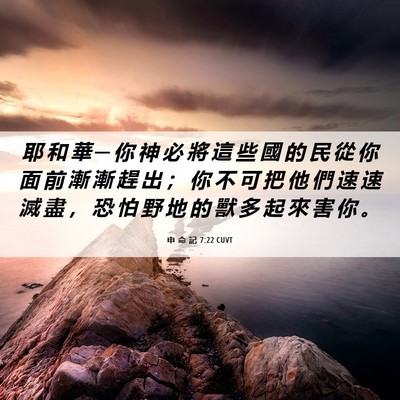 Picture 06 - 申 命 記 7:22 CUVT - 耶 和 華 ─ 你 神 必 將 這 些 國 的 - Bible Verse Picture