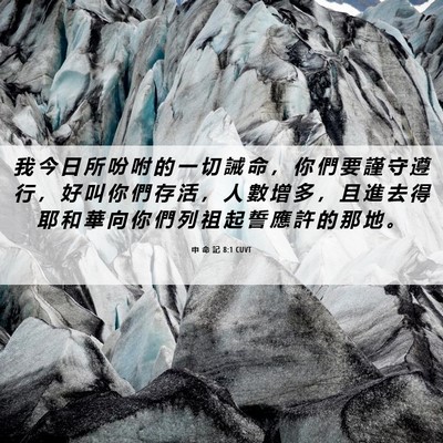 Picture 06 - 申 命 記 8:1 CUVT - 我 今 日 所 吩 咐 的 一 切 誡 命 ， - Bible Verse Picture
