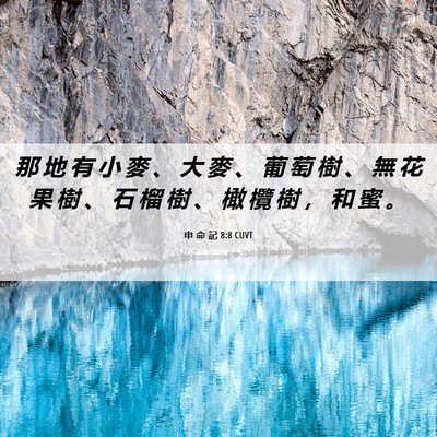 Picture 06 - 申 命 記 8:8 CUVT - 那 地 有 小 麥 、 大 麥 、 葡 萄 樹 - Bible Verse Picture