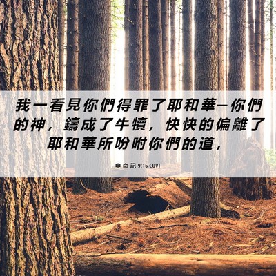 Picture 06 - 申 命 記 9:16 CUVT - 我 一 看 見 你 們 得 罪 了 耶 和 華 - Bible Verse Picture