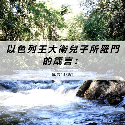 Picture 06 - 箴 言 1:1 CUVT - 以 色 列 王 大 衛 兒 子 所 羅 門 的 - Bible Verse Picture