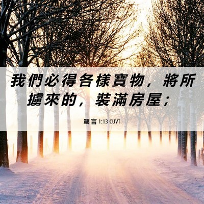 Picture 06 - 箴 言 1:13 CUVT - 我 們 必 得 各 樣 寶 物 ， 將 所 擄 - Bible Verse Picture