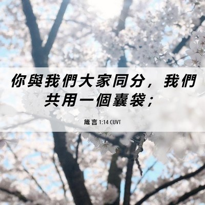 Picture 06 - 箴 言 1:14 CUVT - 你 與 我 們 大 家 同 分 ， 我 們 共 - Bible Verse Picture
