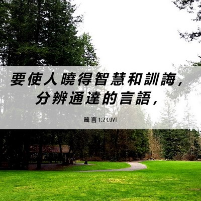 Picture 06 - 箴 言 1:2 CUVT - 要 使 人 曉 得 智 慧 和 訓 誨 ， 分 - Bible Verse Picture
