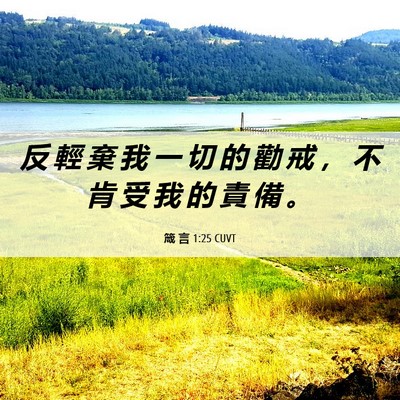 Picture 06 - 箴 言 1:25 CUVT - 反 輕 棄 我 一 切 的 勸 戒 ， 不 肯 - Bible Verse Picture