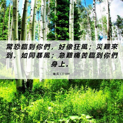 Picture 06 - 箴 言 1:27 CUVT - 驚 恐 臨 到 你 們 ， 好 像 狂 風 ； - Bible Verse Picture