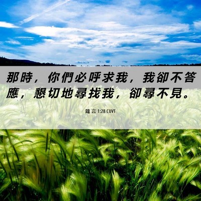 Picture 06 - 箴 言 1:28 CUVT - 那 時 ， 你 們 必 呼 求 我 ， 我 卻 - Bible Verse Picture