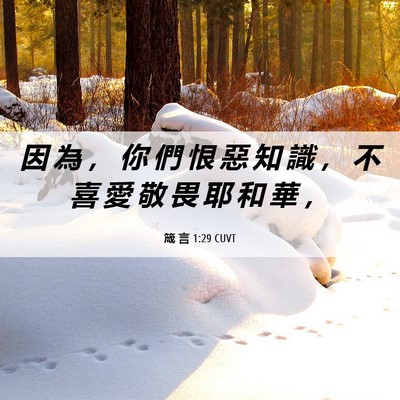Picture 06 - 箴 言 1:29 CUVT - 因 為 ， 你 們 恨 惡 知 識 ， 不 喜 - Bible Verse Picture