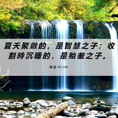 Picture 06 - 箴 言 10:5 CUVT - 夏 天 聚 斂 的 ， 是 智 慧 之 子 ； - Bible Verse Picture