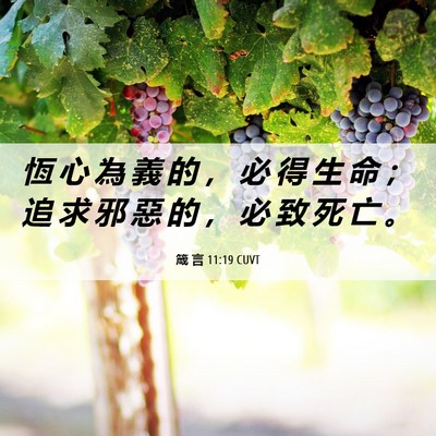Picture 06 - 箴 言 11:19 CUVT - 恆 心 為 義 的 ， 必 得 生 命 ； 追 - Bible Verse Picture