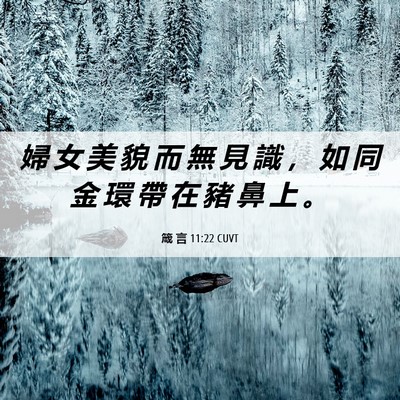 Picture 06 - 箴 言 11:22 CUVT - 婦 女 美 貌 而 無 見 識 ， 如 同 金 - Bible Verse Picture