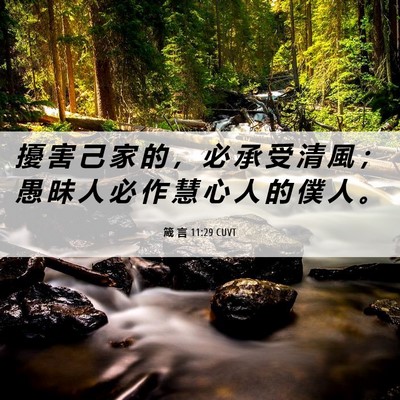 Picture 06 - 箴 言 11:29 CUVT - 擾 害 己 家 的 ， 必 承 受 清 風 ； - Bible Verse Picture