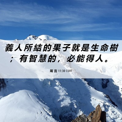 Picture 06 - 箴 言 11:30 CUVT - 義 人 所 結 的 果 子 就 是 生 命 樹 - Bible Verse Picture