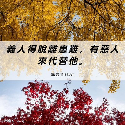 Picture 06 - 箴 言 11:8 CUVT - 義 人 得 脫 離 患 難 ， 有 惡 人 來 - Bible Verse Picture