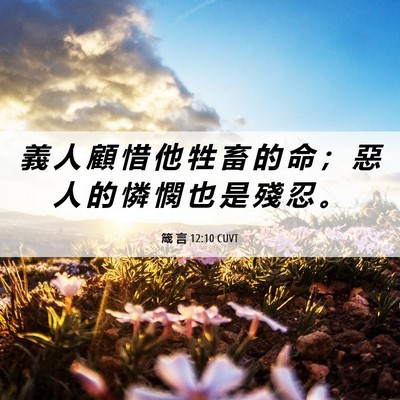 Picture 06 - 箴 言 12:10 CUVT - 義 人 顧 惜 他 牲 畜 的 命 ； 惡 人 - Bible Verse Picture
