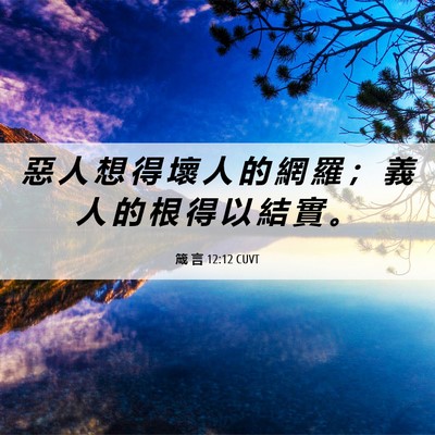 Picture 06 - 箴 言 12:12 CUVT - 惡 人 想 得 壞 人 的 網 羅 ； 義 人 - Bible Verse Picture