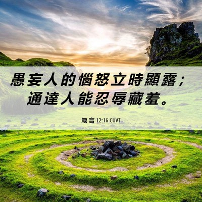 Picture 06 - 箴 言 12:16 CUVT - 愚 妄 人 的 惱 怒 立 時 顯 露 ； 通 - Bible Verse Picture