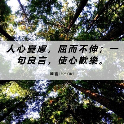 Picture 06 - 箴 言 12:25 CUVT - 人 心 憂 慮 ， 屈 而 不 伸 ； 一 句 - Bible Verse Picture