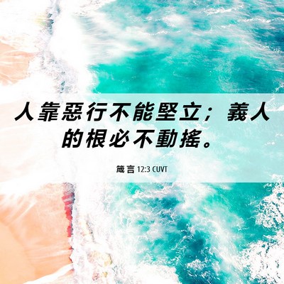 Picture 06 - 箴 言 12:3 CUVT - 人 靠 惡 行 不 能 堅 立 ； 義 人 的 - Bible Verse Picture