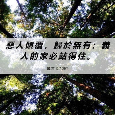 Picture 06 - 箴 言 12:7 CUVT - 惡 人 傾 覆 ， 歸 於 無 有 ； 義 人 - Bible Verse Picture