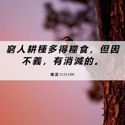 Picture 06 - 箴 言 13:23 CUVT - 窮 人 耕 種 多 得 糧 食 ， 但 因 不 - Bible Verse Picture