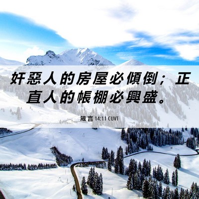 Picture 06 - 箴 言 14:11 CUVT - 奸 惡 人 的 房 屋 必 傾 倒 ； 正 直 - Bible Verse Picture