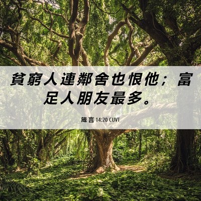 Picture 06 - 箴 言 14:20 CUVT - 貧 窮 人 連 鄰 舍 也 恨 他 ； 富 足 - Bible Verse Picture