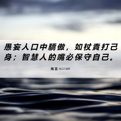 Picture 06 - 箴 言 14:3 CUVT - 愚 妄 人 口 中 驕 傲 ， 如 杖 責 打 - Bible Verse Picture