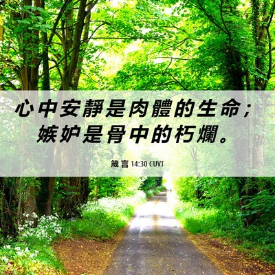 Picture 06 - 箴 言 14:30 CUVT - 心 中 安 靜 是 肉 體 的 生 命 ； 嫉 - Bible Verse Picture